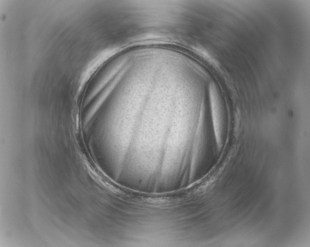 X0000052941413200507221135