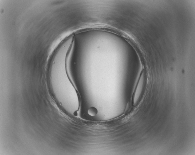 X0000052941414200507221135