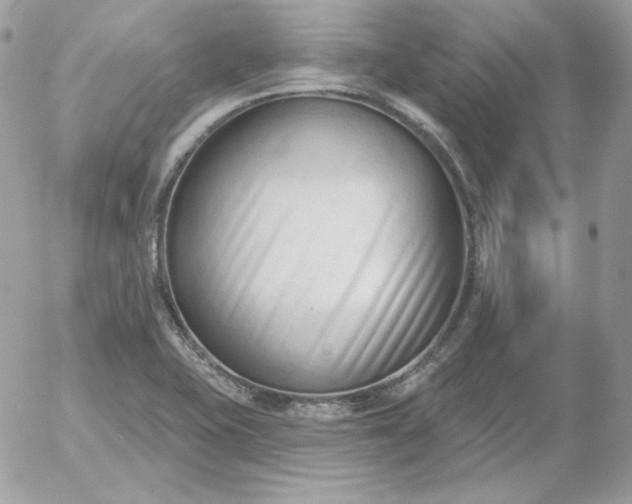 X0000052941415200507221135