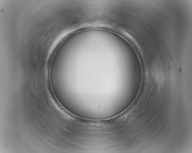 X0000052941416200507221135