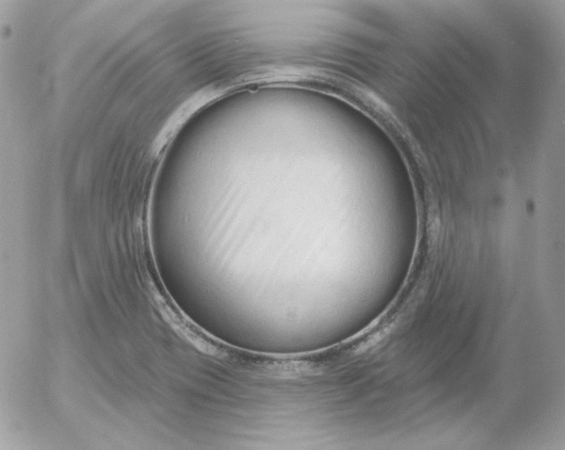 X0000052941417200507221135