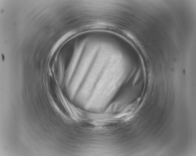X0000052941418200507221135