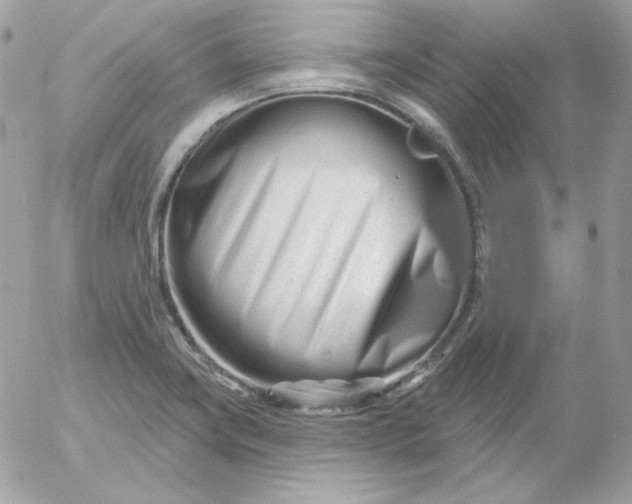 X0000052941419200507221135