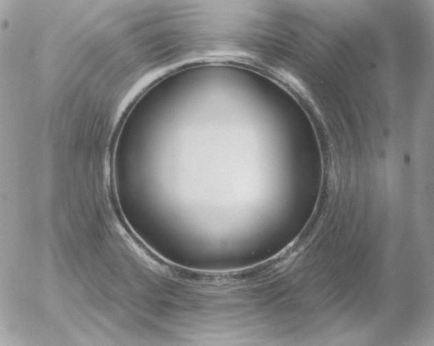 X0000052941420200507221135