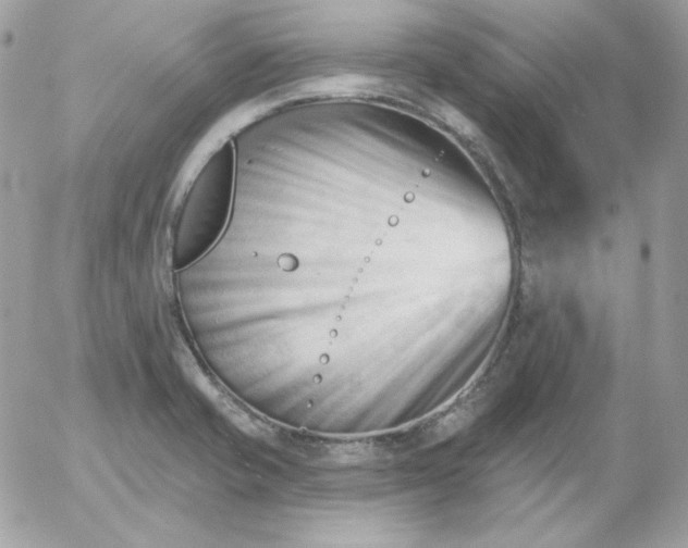 X0000052941421200507221135