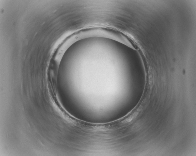 X0000052941422200507221135