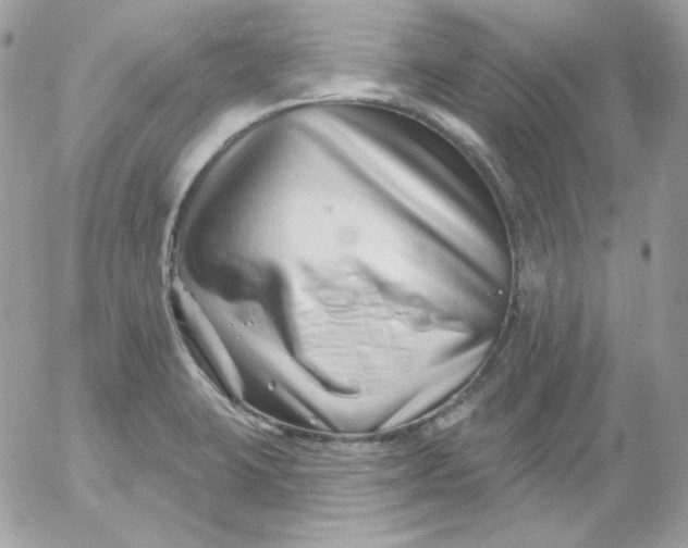 X0000052941423200507221135