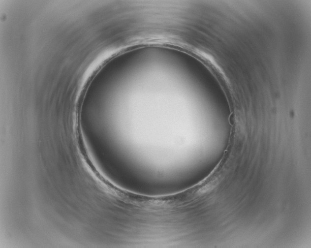 X0000052941424200507221135