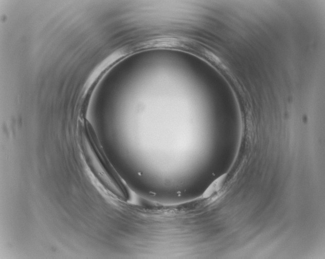 X0000052941426200507221135