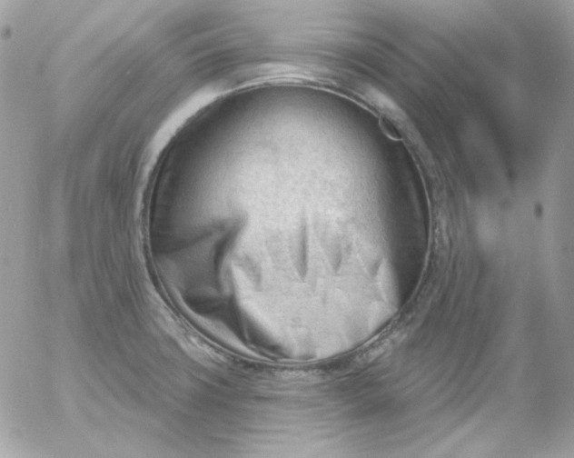 X0000052941427200507221135