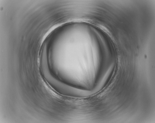 X0000052941428200507221135