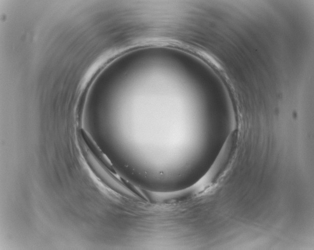 X0000052941430200507221135