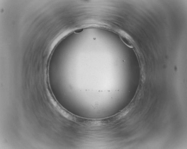 X0000052941431200507221135