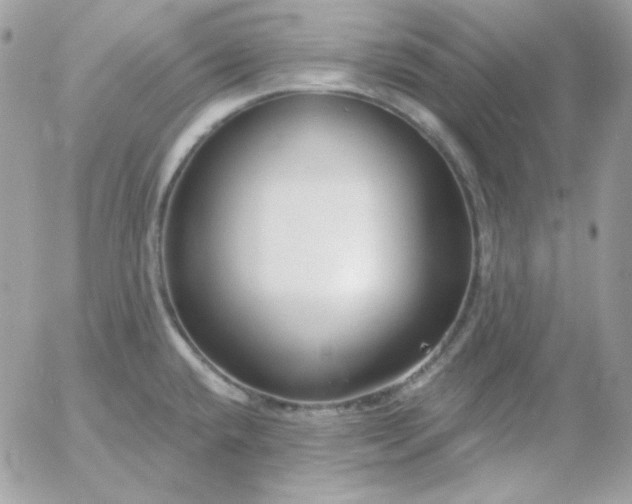 X0000052941432200507221135