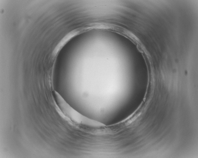 X0000052941433200507221135