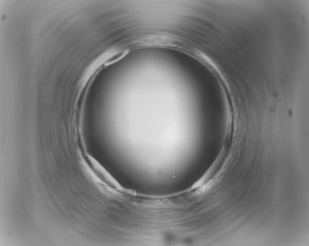 X0000052941434200507221135