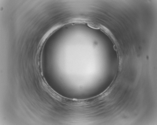 X0000052941435200507221135