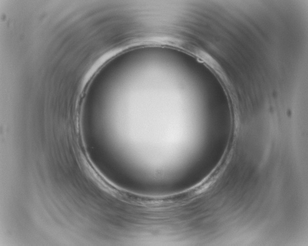 X0000052941436200507221135