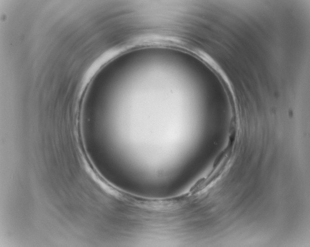 X0000052941437200507221135