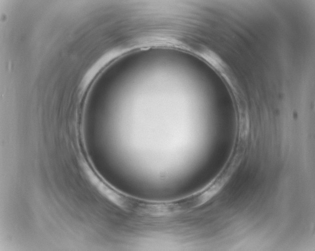 X0000052941438200507221135