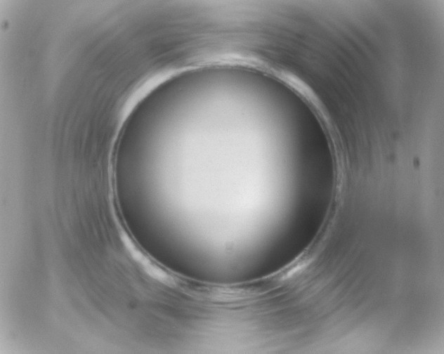 X0000052941439200507221135