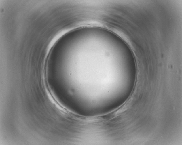 X0000052941440200507221135