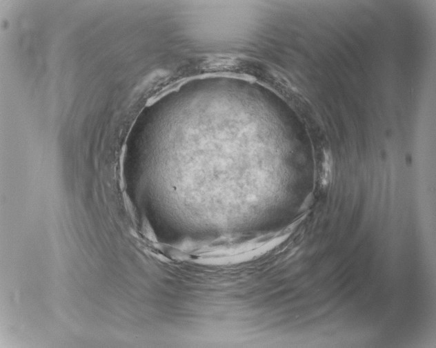 X0000052941441200507221135