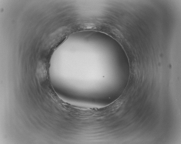 X0000052941442200507221135