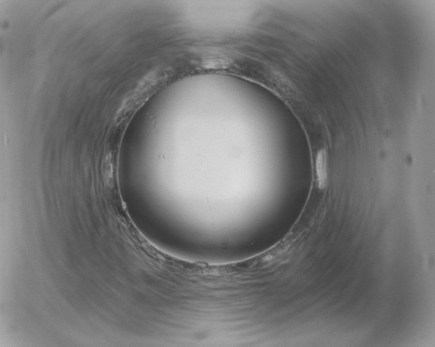 X0000052941443200507221135