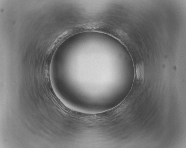 X0000052941444200507221135