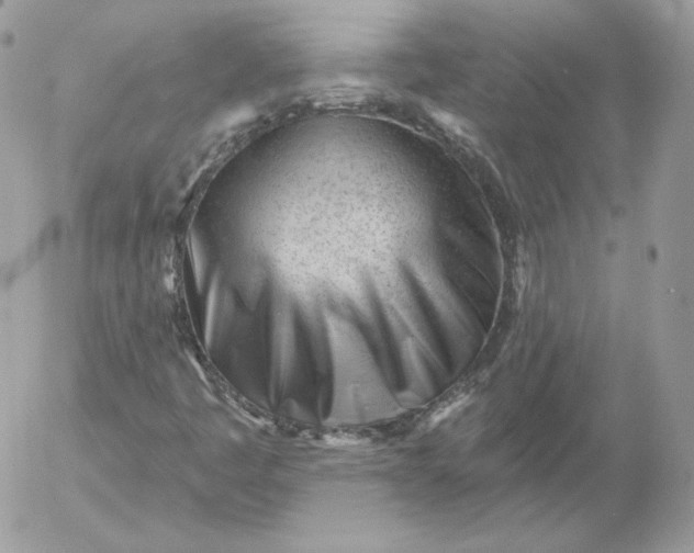 X0000052941445200507221135