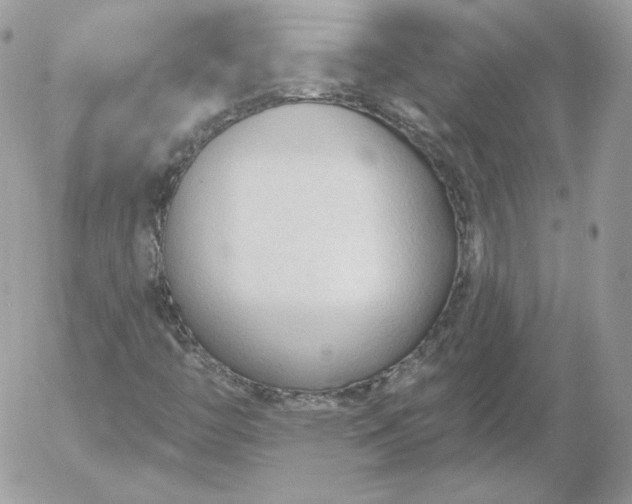 X0000052941446200507221134