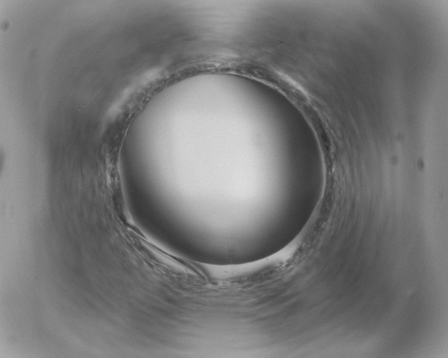 X0000052941447200507221134