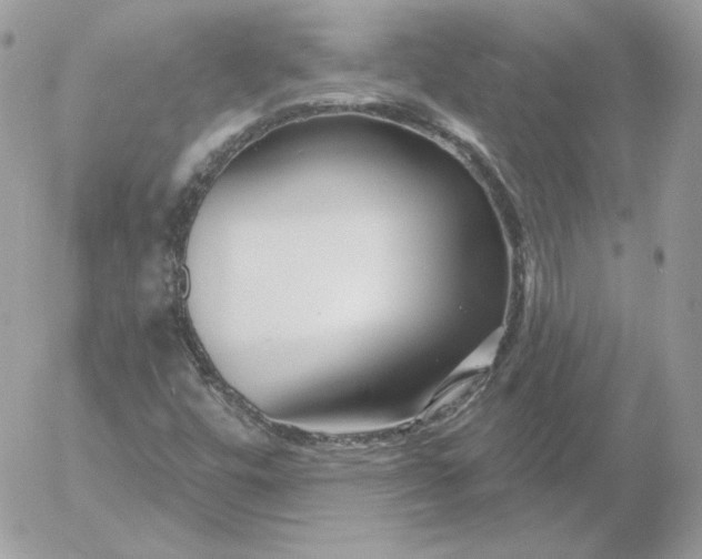 X0000052941448200507221134