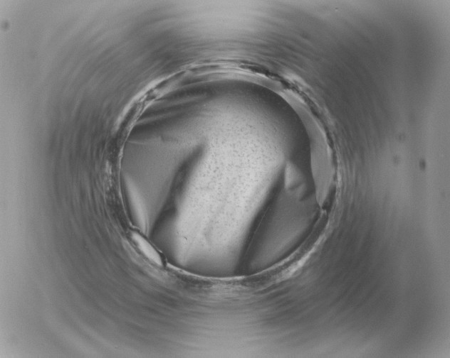 X0000052941449200507221134