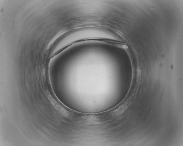 X0000052941450200507221134