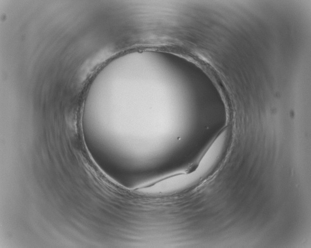 X0000052941451200507221134