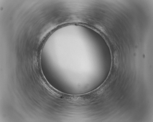 X0000052941452200507221134