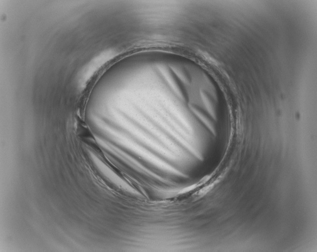 X0000052941453200507221134