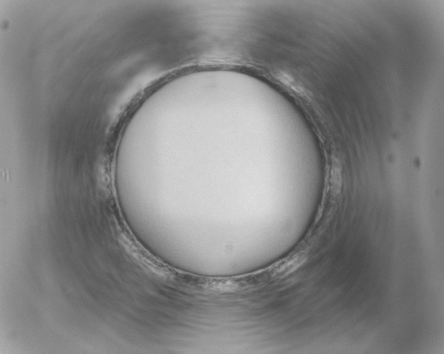 X0000052941454200507221134