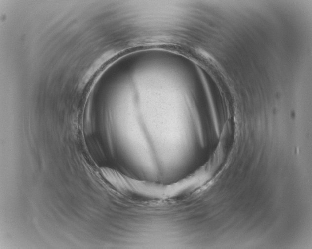 X0000052941457200507221134