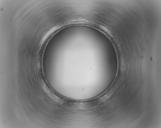 X0000052941458200507221134