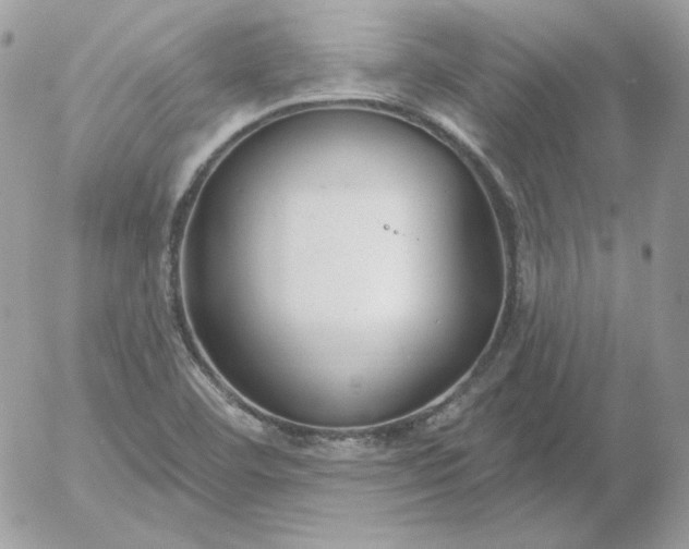 X0000052941460200507221134