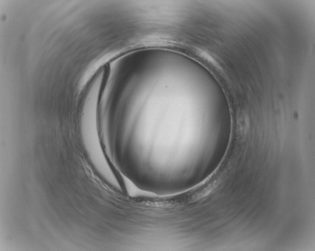 X0000052941461200507221134