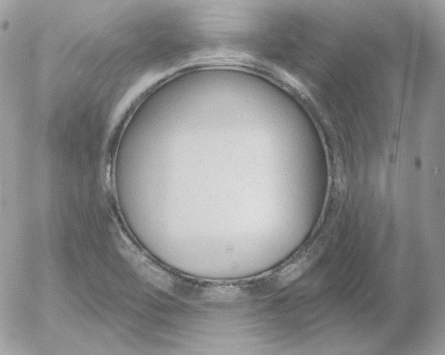 X0000052941462200507221134