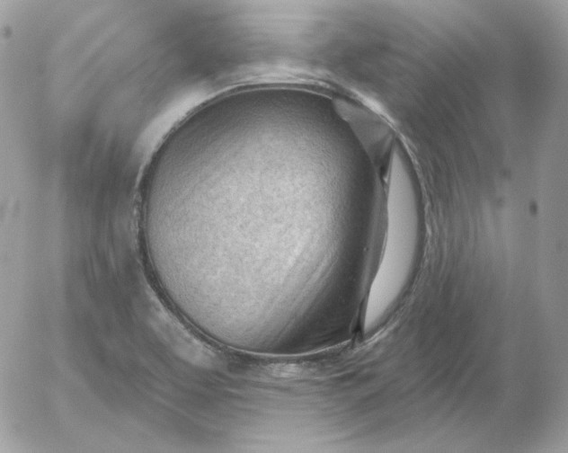 X0000052941463200507221134