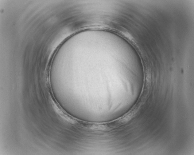 X0000052941466200507221134