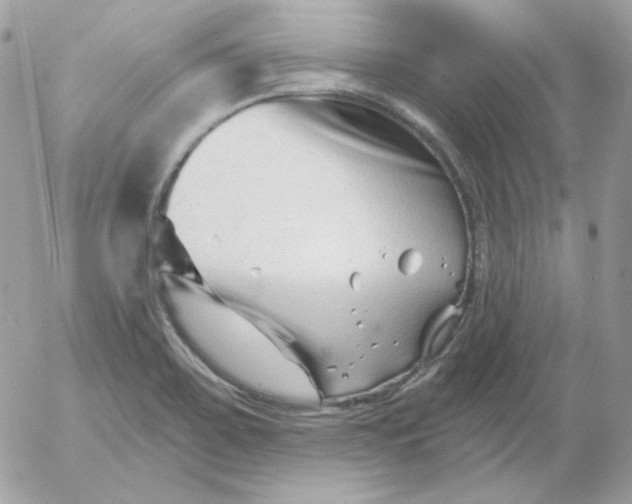 X0000052941467200507221134