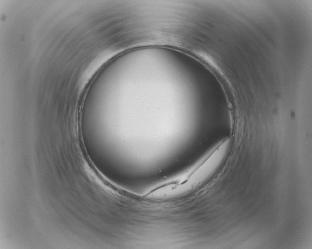 X0000052941468200507221134