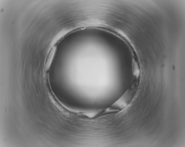 X0000052941469200507221134